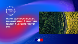 photo d'une forêt et logo france 2030 accompagné d'un texte : France 2030: ouverture de plusieurs appels à projets en soutien à la filière forêt et bois.